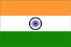 india-flag_100