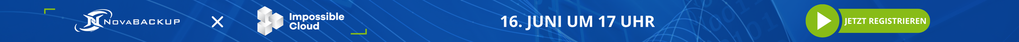 Website Banner (2100 x 88 px)_German
